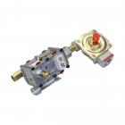 Hotpoint RGBS300DM2WW Control Valve and Pressure Regulator (Nor. S) - Genuine OEM