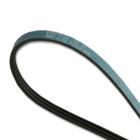 Kenmore 110.6818800 Drive Belt - Genuine OEM