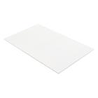 Kenmore 911.47813200 Door Glass (Inner) - Genuine OEM