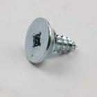 Haier Part# 60600239 Screw - Dove Tail Tm (OEM)