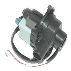 Haier GWT460BW Pump - Genuine OEM