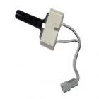 Kelvinator DGT400G2D Igniter Assembly - Genuine OEM