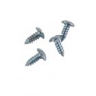 Kenmore 253.61747015 Door Handle Screw Kit (4 Screws)