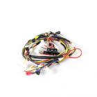 LG DLE7300WE/00 Multi Wire Harness - Genuine OEM