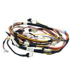 LG DLEX4200W Main Wire Harness - Genuine OEM