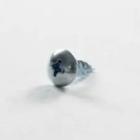 LG LRBC20512TT Screw, Customized - Genuine OEM