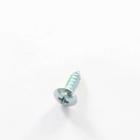 Samsung DV42H5000EW/A3-0000 Tapping Screw - Genuine OEM