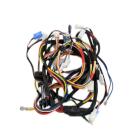 Samsung DV42H5000GW/A3-00 Main Wire Harness - Genuine OEM