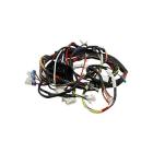 Samsung DV42H5200EW/A3-00 Main Wire Harness  - Genuine OEM