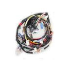 Samsung DV42H5600EP Main Wire Harness Assembly - Genuine OEM