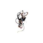 Samsung DVE45T3400P/A3-00 Main Wire Harness Assembly - Genuine OEM