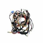 Samsung DVE50M7450W/A3-00 Main Wire Harness - Genuine OEM