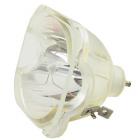 Samsung HLS5686W Lamp (Only) Genuine OEM