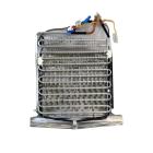Samsung RF23HCEDBWW/AA Evaporator Assembly - Genuine OEM