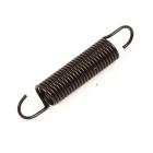 Samsung SMH1713W/XAA-0001 Door Spring - Genuine OEM