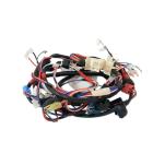 Samsung WF361BVBEWR/A2-0001 Main Wire Harness - Genuine OEM