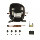 Whirlpool GD5RVAXVQ02 Compressor Kit Genuine OEM