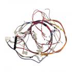 Amana AER6011VAW0 Bake Element Wire Harness  - Genuine OEM