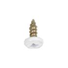 Amana AGR4230BAW3 Screw - Genuine OEM