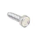 Amana ALG643RBW-PALG643RBW1 Hex Head Screw - Genuine OEM