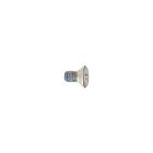 Amana NTW4600VQ1 Mounting Screw - Genuine OEM