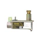 CG7241A819R Gas Oven Safety Valve - Genuine OEM