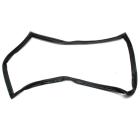 CT21F7B Door Gas - Genuine OEM