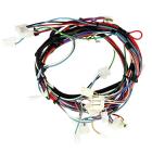 CT21GKXRQ01 Wire Harness - Genuine OEM
