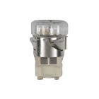 IBS350PXS00 Light Socket Assembly - Genuine OEM