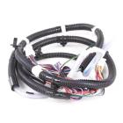 Kenmore 110.20222511 Main Wire Harness - Genuine OEM