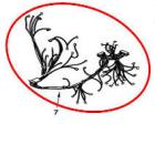Maytag MDB5969SDE2 Wire Harness - Genuine OEM