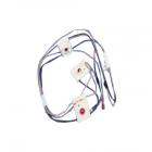 Maytag MGR5754QDQ Spark Igniter Wire Harness - Genuine OEM