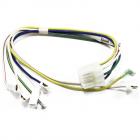 Whirlpool WRS331SDHW00 Dispenser Wiring Harness - Genuine OEM