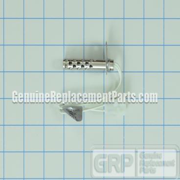 Invensys Part# 41-605 Ignitor (OEM)
