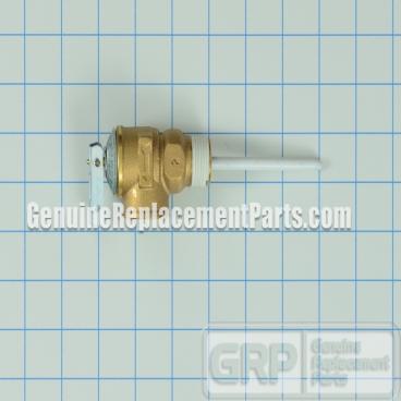 A.O. Smith Part# 9000071015 T/P Relief Valve (OEM)