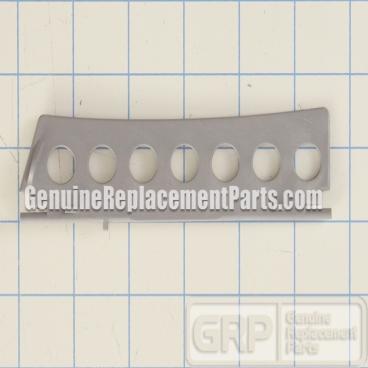 Whirlpool Part# W11156832 Lint Screen Door (OEM)