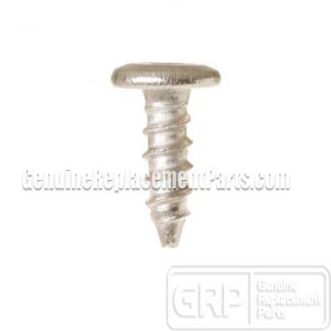 GE Part# WB01K10086 Screw (OEM) 818 AB TRP 3/8 SS