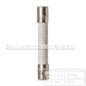 GE Part# WB27X10454 Fuse (OEM) 250V 15A