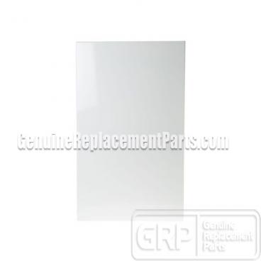 GE Part# WH46X10281 Panel Assembly (OEM) Front